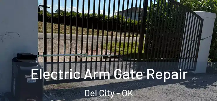 Electric Arm Gate Repair Del City - OK